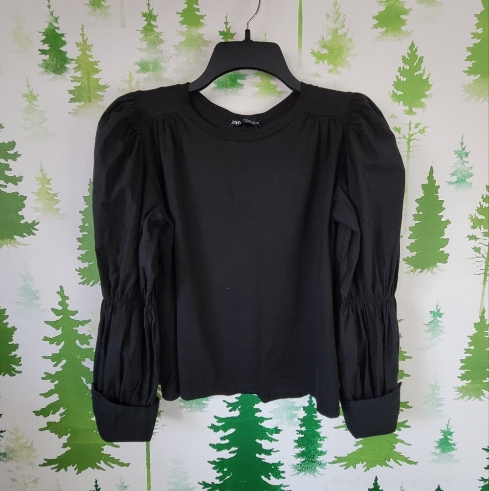 Zara Puff Sleeve Top.